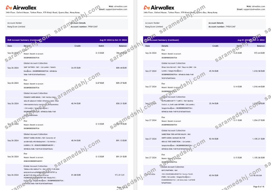 Hong Kong Airwallex Limited account statement, 18 pages 4